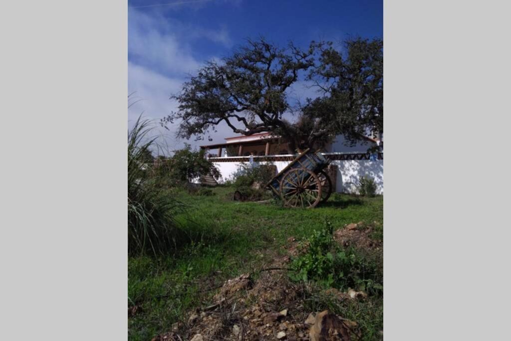 Aproveite O Sabor Do Alentejo Villa Vila Verde de Ficalho Exterior photo