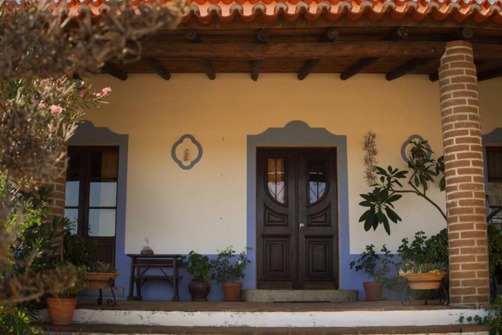 Aproveite O Sabor Do Alentejo Villa Vila Verde de Ficalho Exterior photo