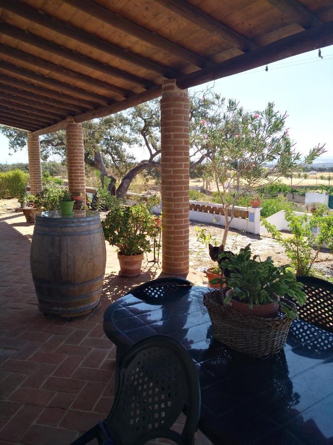 Aproveite O Sabor Do Alentejo Villa Vila Verde de Ficalho Exterior photo